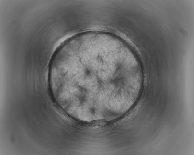 X0000112891222200910021407