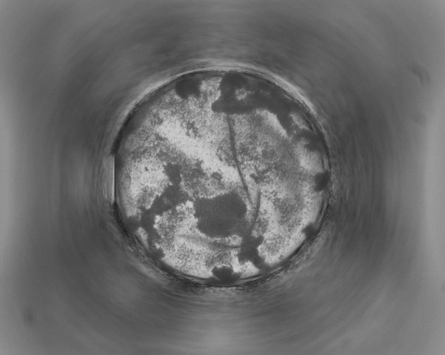 X0000112891223200910021407