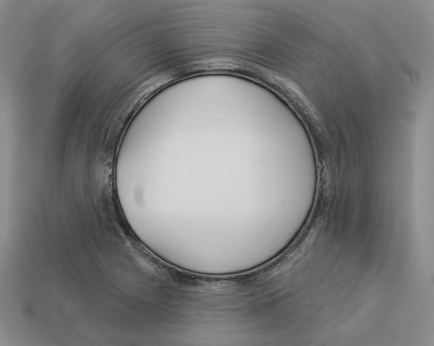 X0000112891225200910021407
