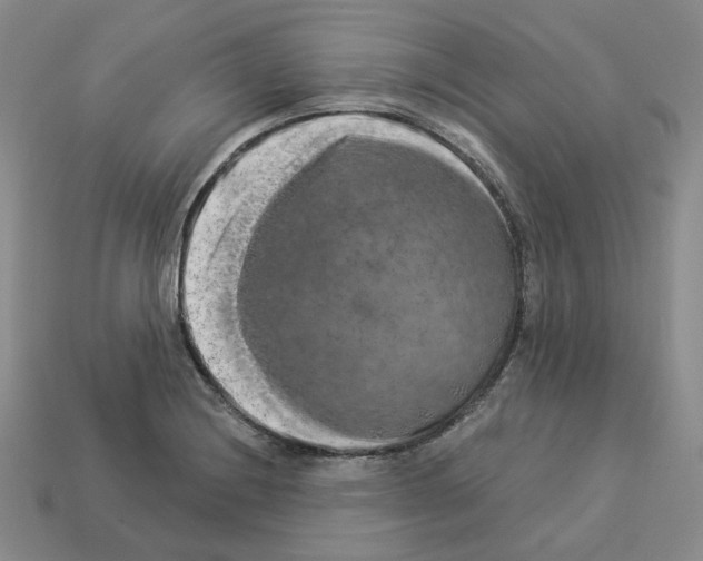X0000112891228200910021407
