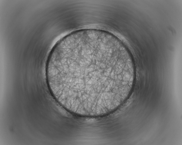 X0000112891230200910021407