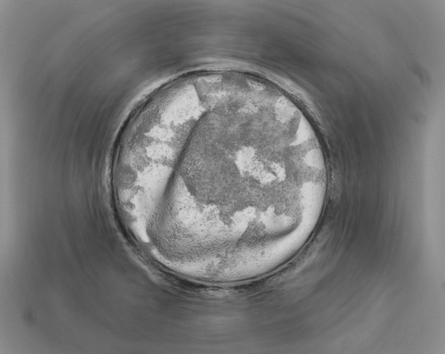 X0000112891231200910021407