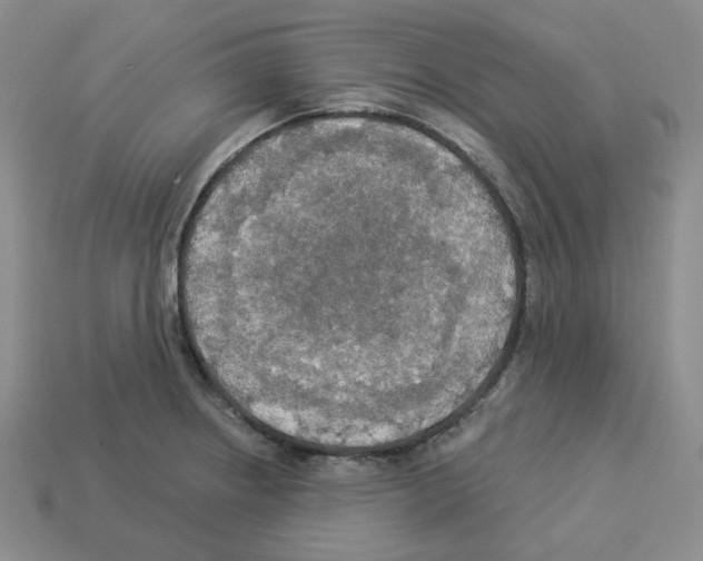 X0000112891234200910021407