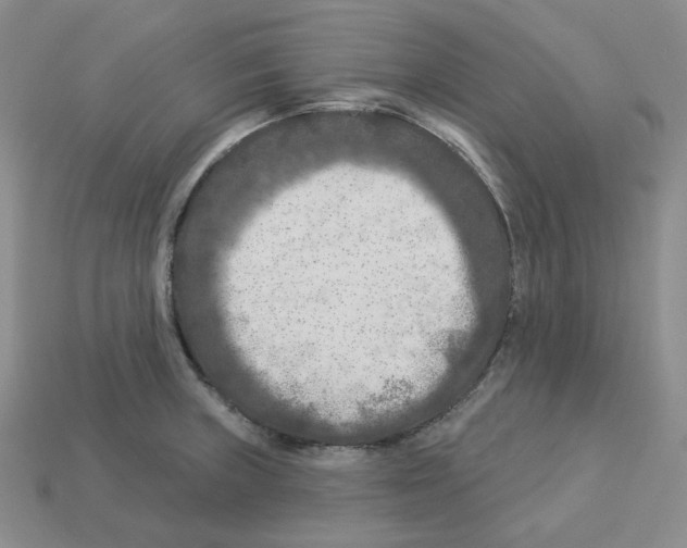 X0000112891235200910021407