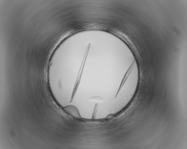X0000112891236200910021407