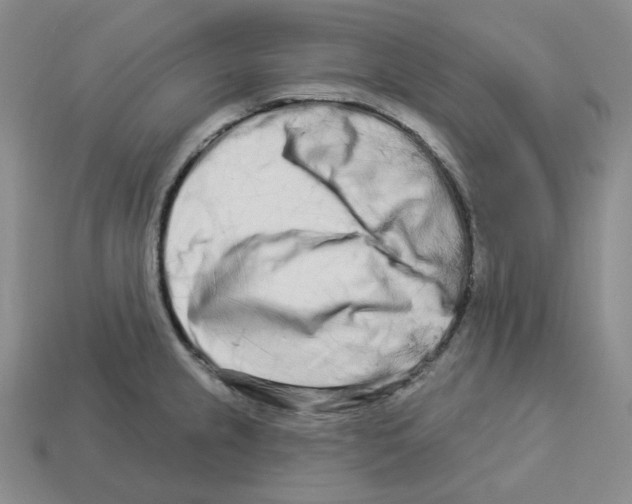 X0000112891237200910021407
