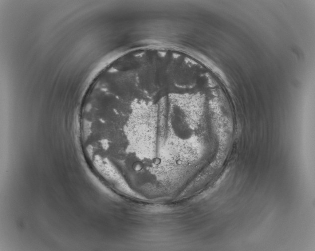 X0000112891239200910021407