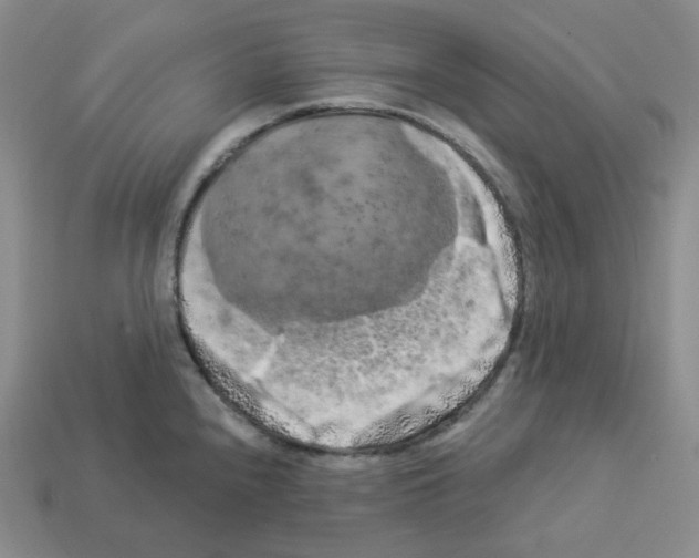 X0000112891240200910021407