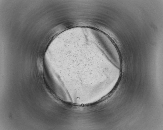 X0000112891241200910021407