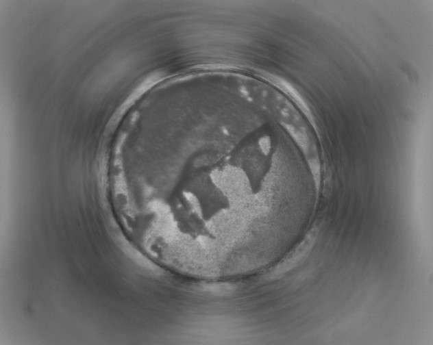 X0000112891243200910021407