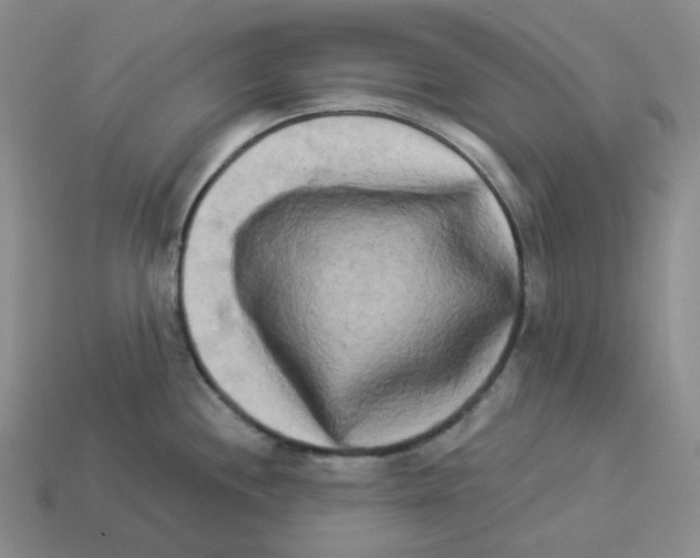 X0000112891244200910021407