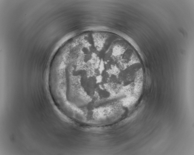 X0000112891245200910021408