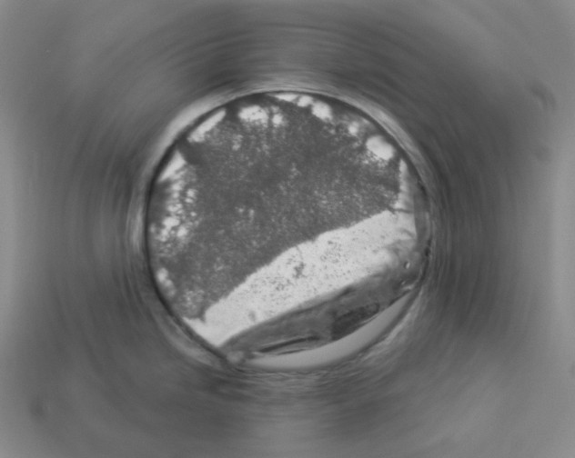 X0000112891246200910021408
