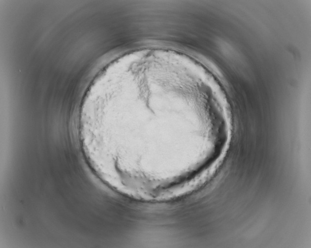 X0000112891247200910021408