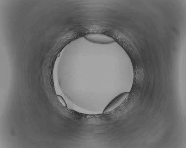X0000112891249200910021407