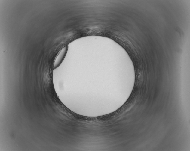 X0000112891250200910021407