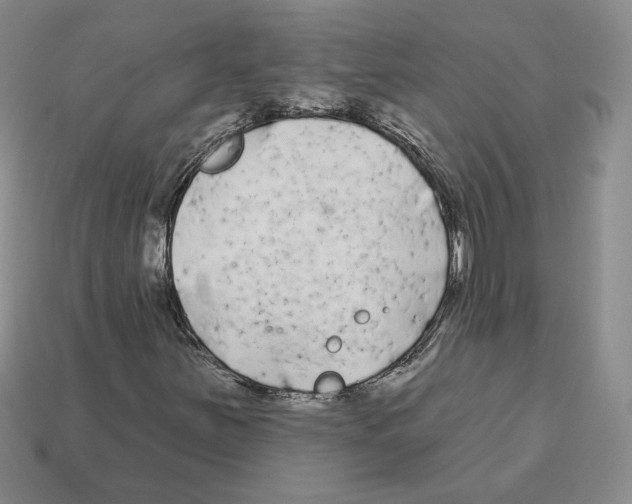 X0000112891251200910021407