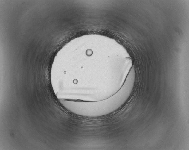 X0000112891252200910021407