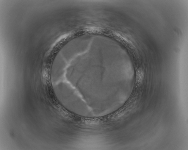 X0000112891254200910021407