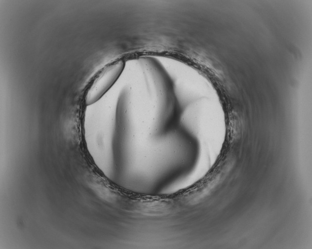 X0000112891256200910021407