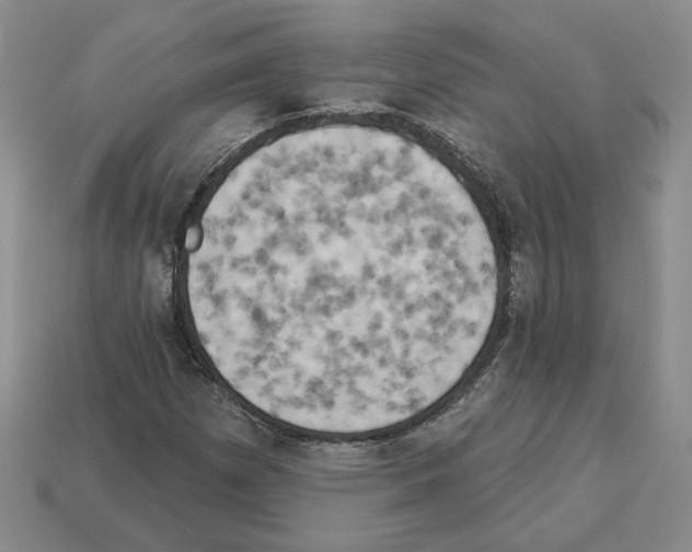 X0000112891257200910021407