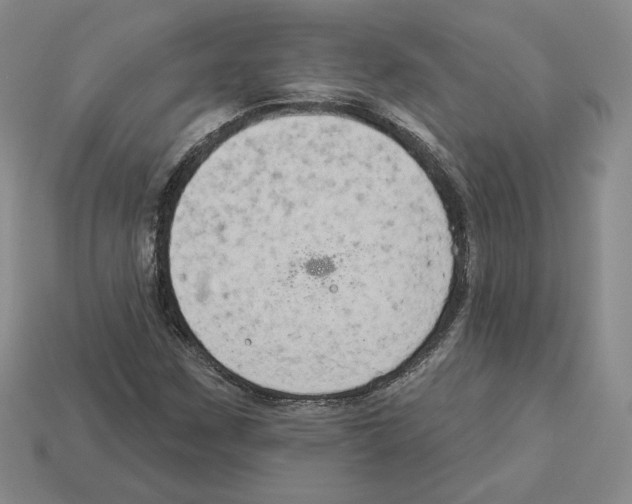 X0000112891259200910021407