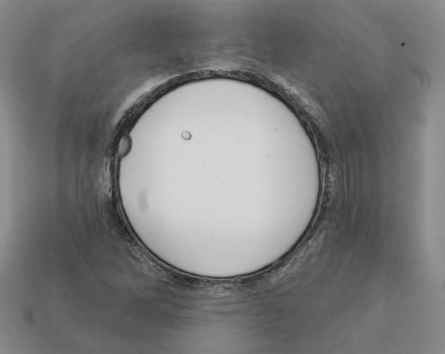 X0000112891262200910021407