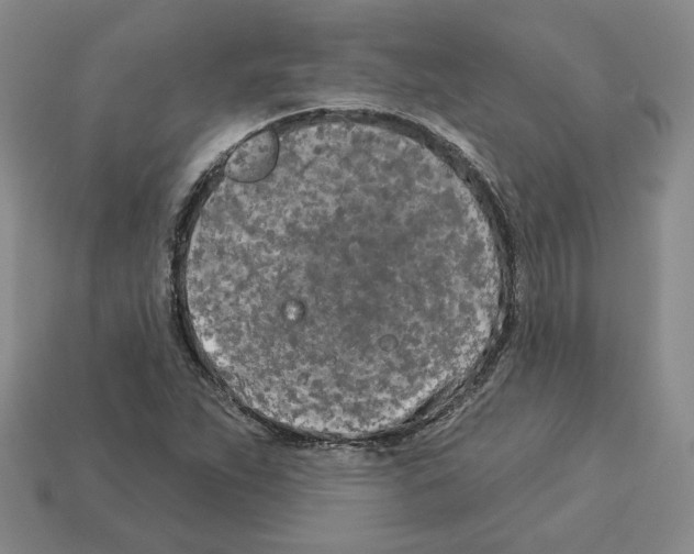 X0000112891263200910021407
