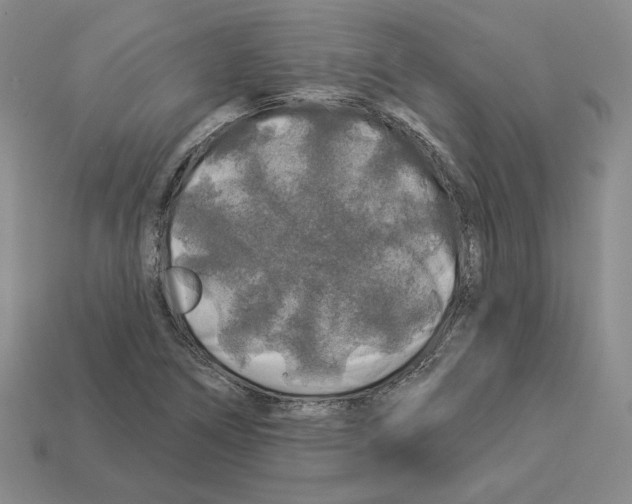 X0000112891266200910021407