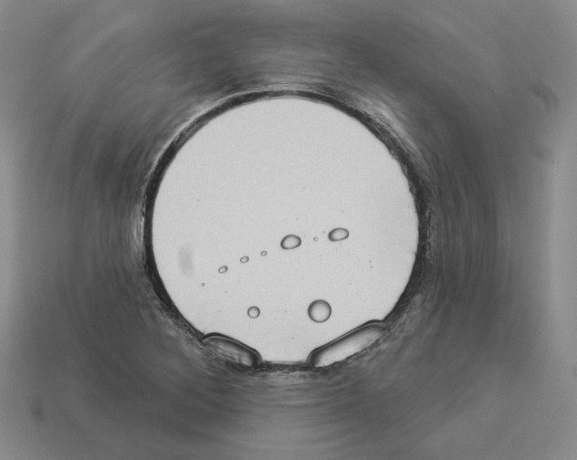 X0000112891268200910021407