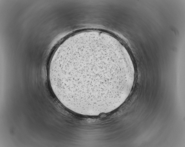 X0000112891271200910021407