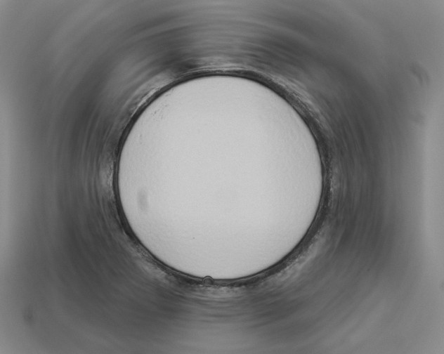 X0000112891273200910021406