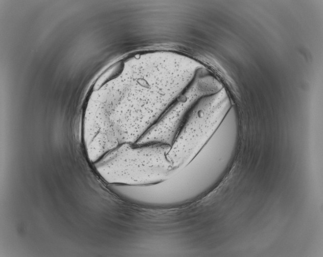 X0000112891276200910021406