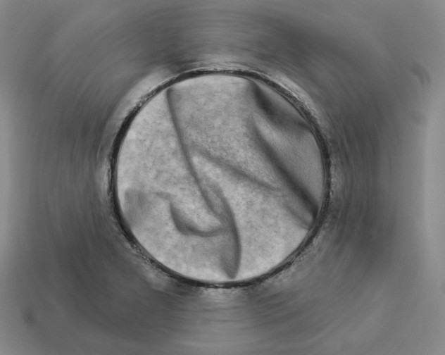 X0000112891277200910021406