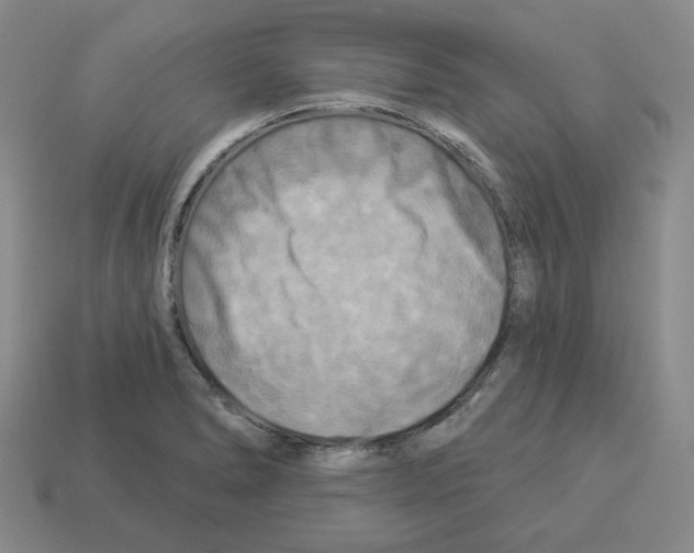 X0000112891278200910021406