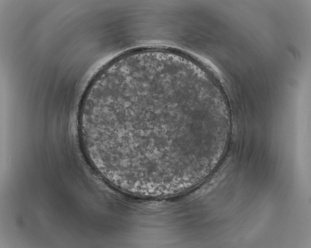 X0000112891279200910021406