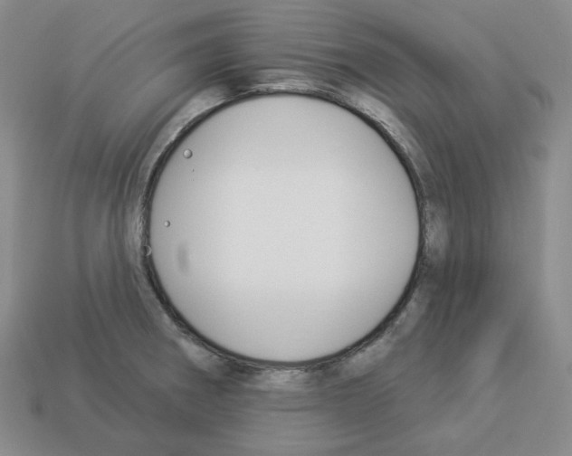 X0000112891282200910021406