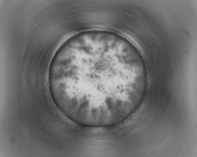 X0000112891283200910021406