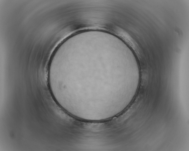 X0000112891284200910021406