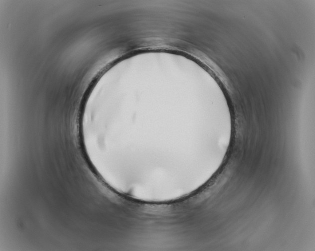 X0000112891285200910021406