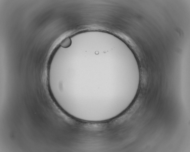X0000112891286200910021406