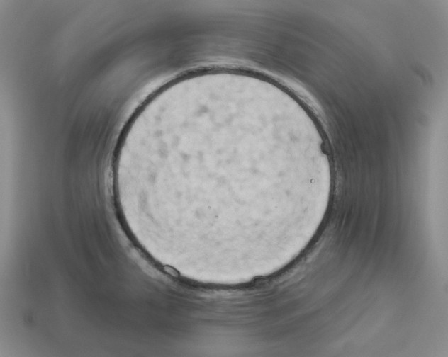 X0000112891287200910021406