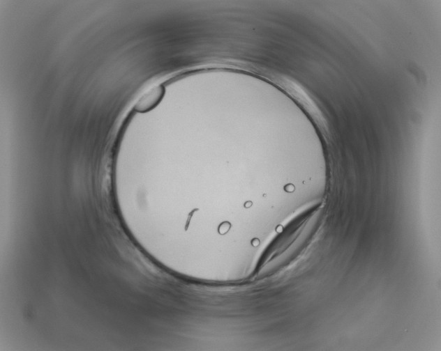 X0000112891292200910021406