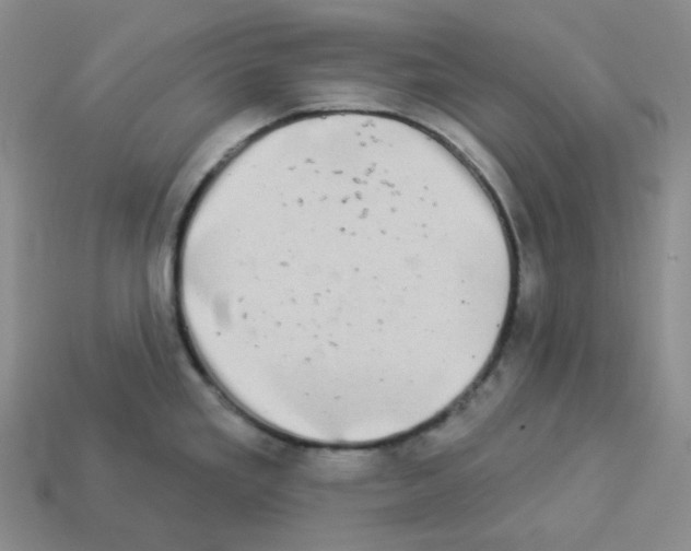 X0000112891293200910021406