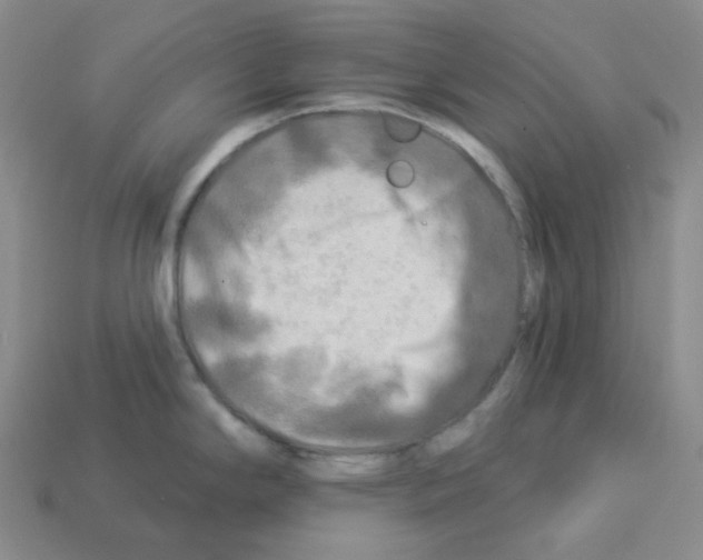 X0000112891294200910021406