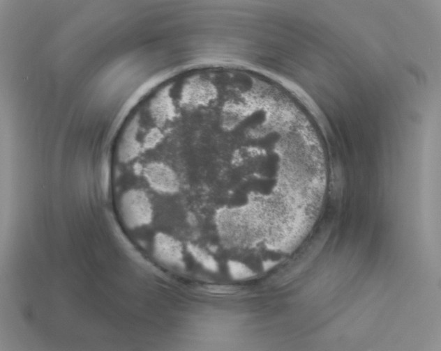 X0000112891295200910021406