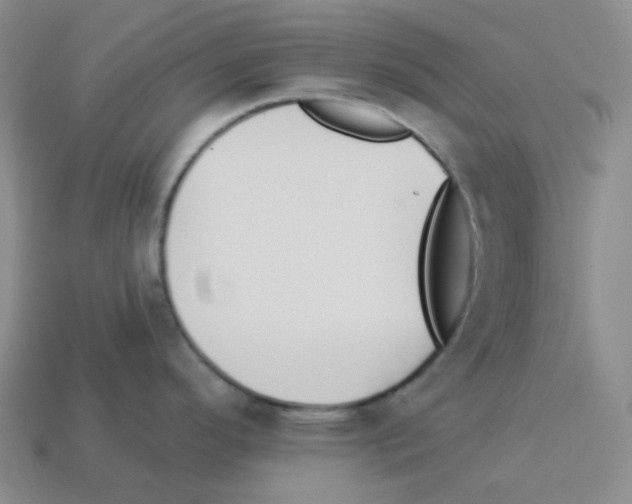 X0000112891296200910021406