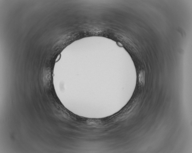 X0000112891299200910021405