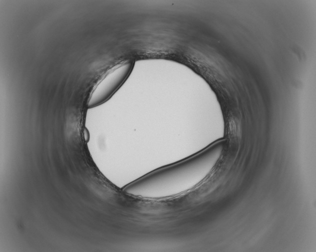 X0000112891300200910021405