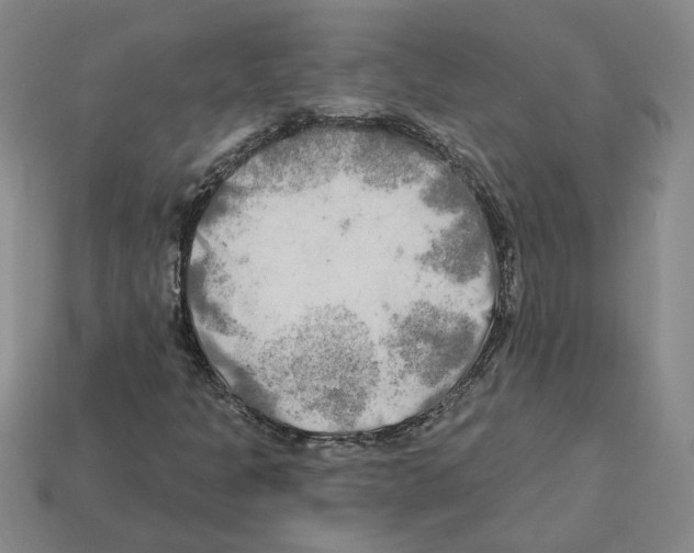 X0000112891301200910021405